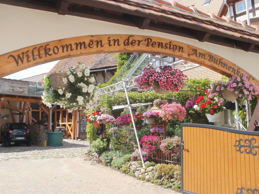 Pension Am Buhnenkopf Tangermünde エクステリア 写真